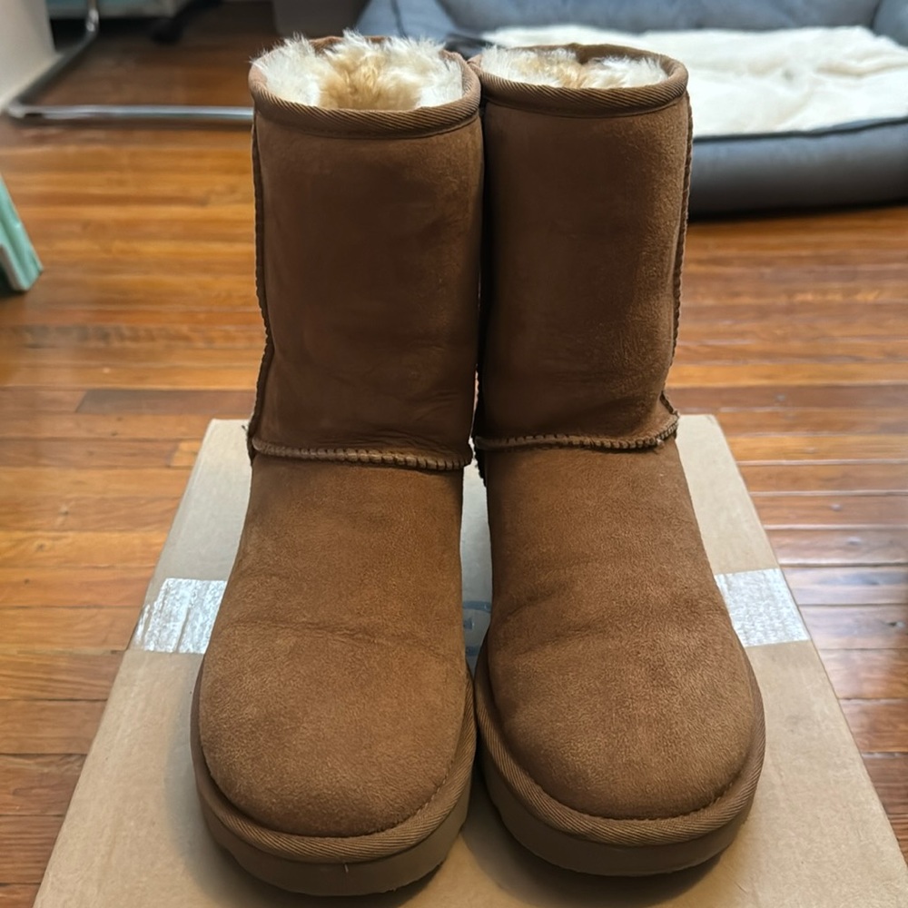 ugg classic short boot chestnut